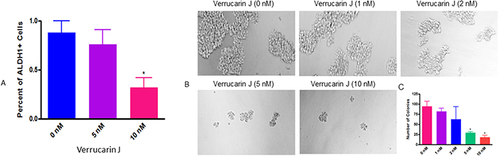 Effect of Verrucarin J on elimination and tumorigenic potential of ALDH1+ CSCs.