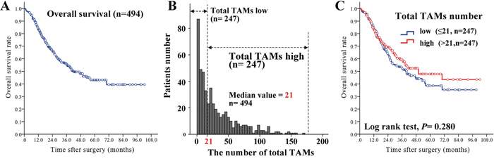 The prognostic value of total TAMs number.