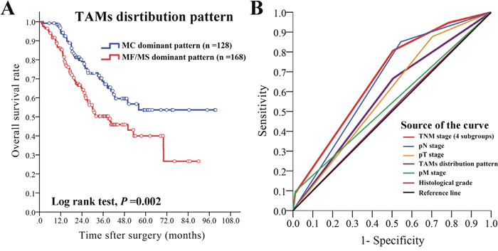 The prognostic value of TAMs distribution pattern and ROC analysis.