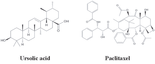 The chemical structures of UA (molecular formula C30H48O3, and 456.