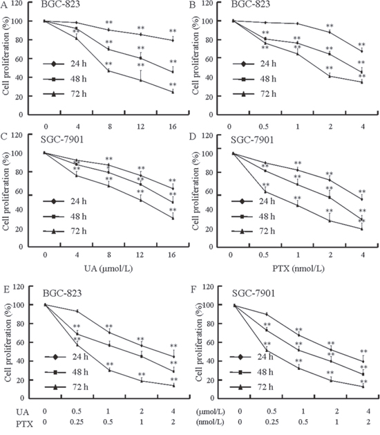 Effects of UA and PTX on BGC-823 and SGC-7901 cell proliferation.