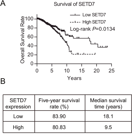 SETD7 predicts the prognosis of breast cancer.