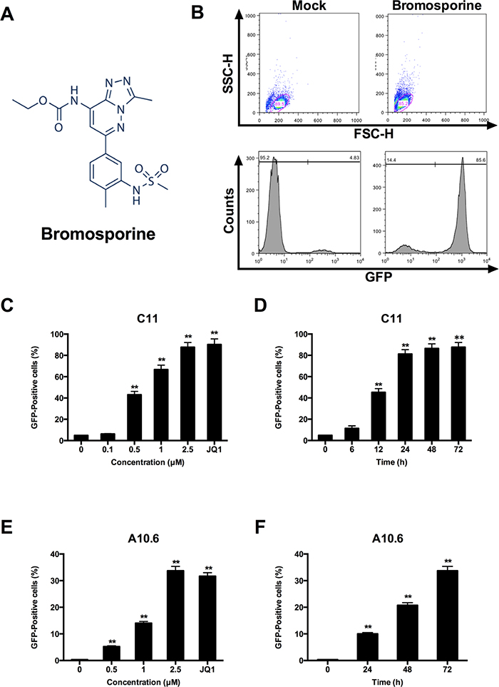 Bromosporine activates HIV-1 replication in vitro in latent HIV-1 cell culture models.