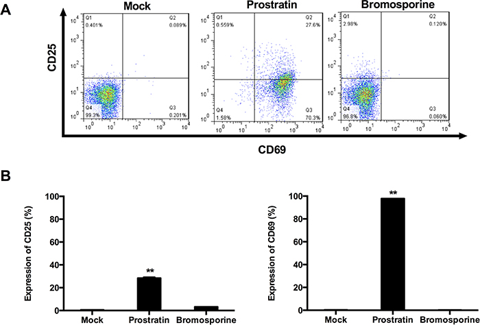 Bromosporine does not induce expression of T cell activation markers on primary CD4+ T cells.