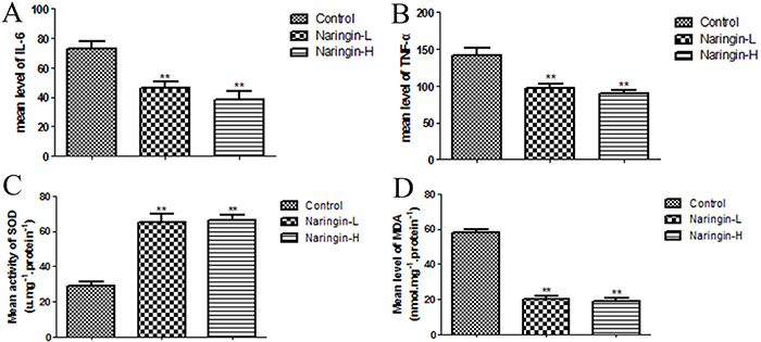 Figure 7: