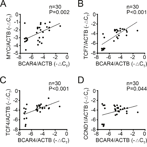 Clinical correlation of BCAR4 and activation of Wnt/&#x03B2;-catenin signaling in CC.