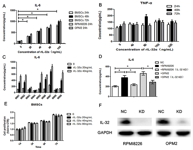 IL-32&#x03B1; induces production of IL-6 in MM BMSCs.