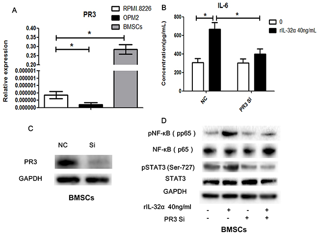 PR3 involved in IL-32 induced IL-6 production in BMSCs.