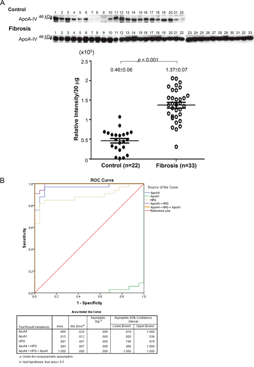 Figure 4: