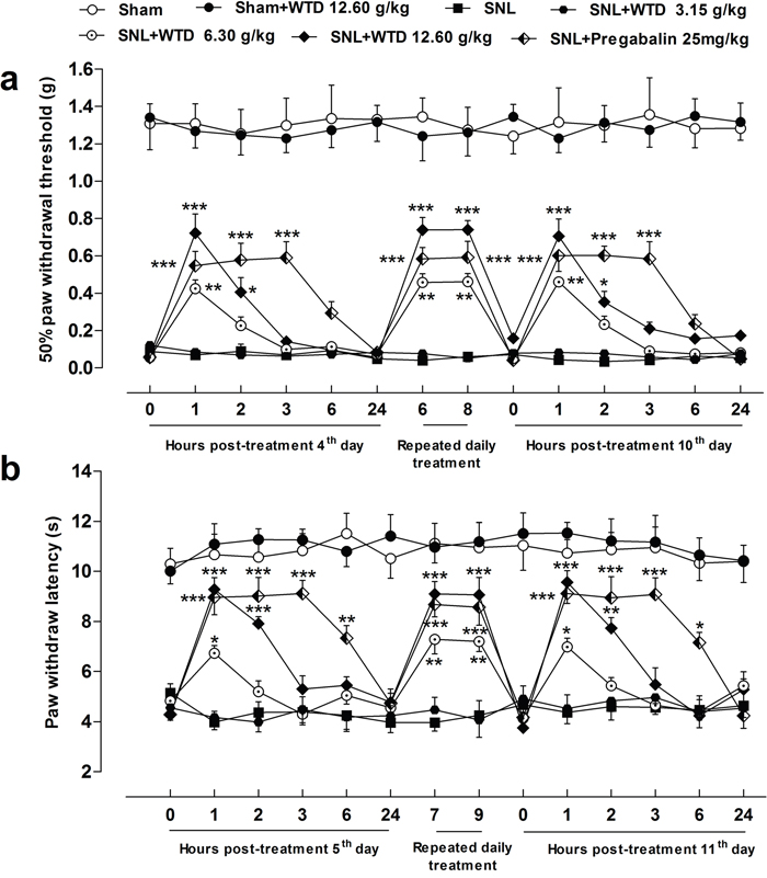 Characteristics of anti-hyperalgesia of WTD on SNL-induced neuropathic pain.