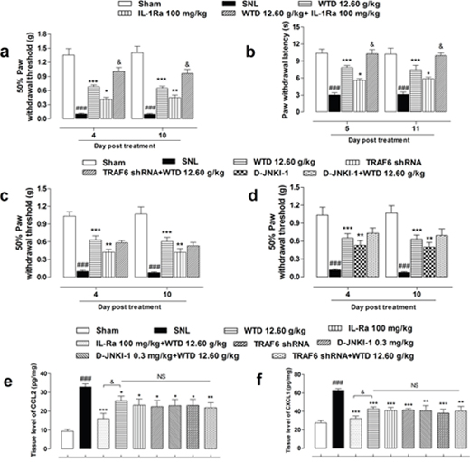 Anti-hyperalgesia and chemokines inhibitory effects of WTD co-administrated with specific inhibitors of IL-1R1/TRAF6/JNK signaling.