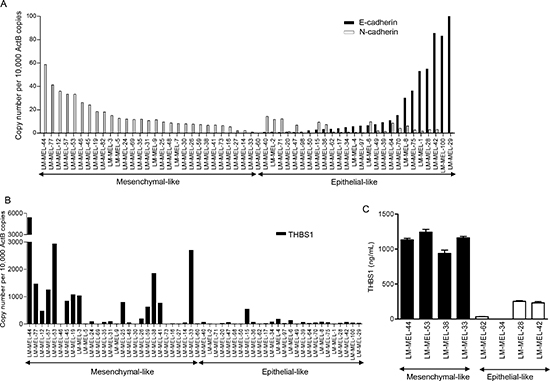 Classification of a panel of melanoma cells lines based on gene expression.