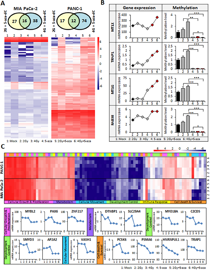 Global transcriptome analysis in pancreatic cancer cells using RNA-seq.