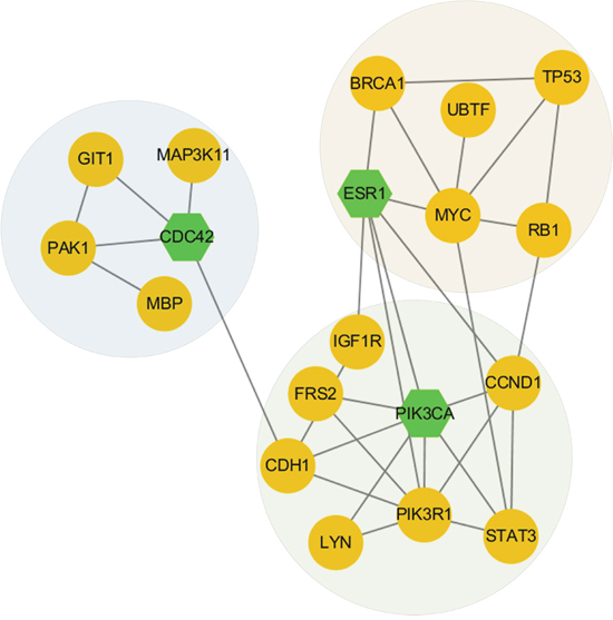 Network modules discovered in subtype 2.