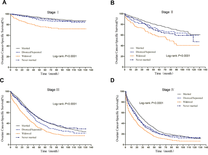 Kaplan-Meier curves of the effect of marital status on EOCSS for all patients stratified by stage.