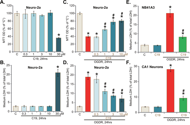 C19 protects neuronal cells from OGD/re-oxygenation.