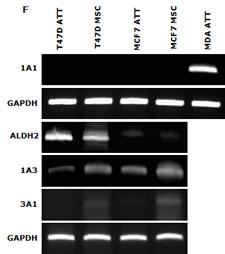 fig3f