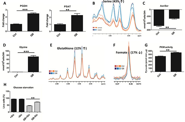 Effect of Quambalarine B (QB) on serine-glycine synthesis pathway.