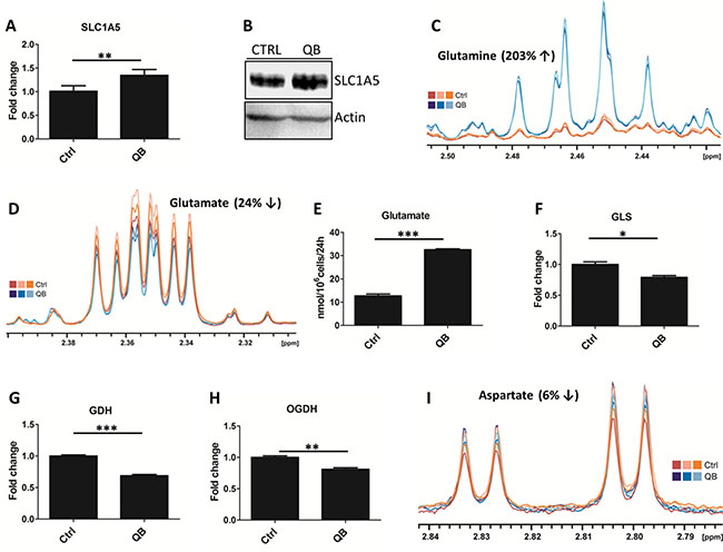 Quambalarine B (QB) deregulates glutamine metabolism in leukemic cells.