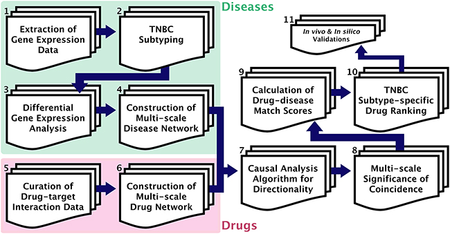 GenEx-TNBC workflow.