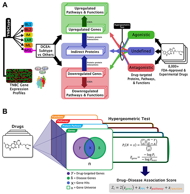 Graphical representation of GenEx-TNBC.