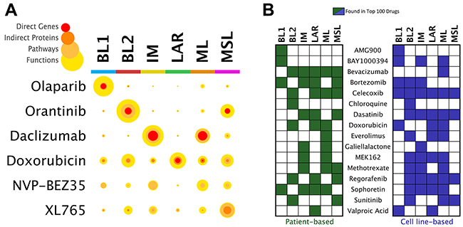 Prioritization of drugs by TNBC subtype.