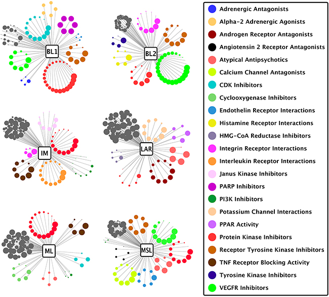 Drug classes matched to TNBC subtypes.