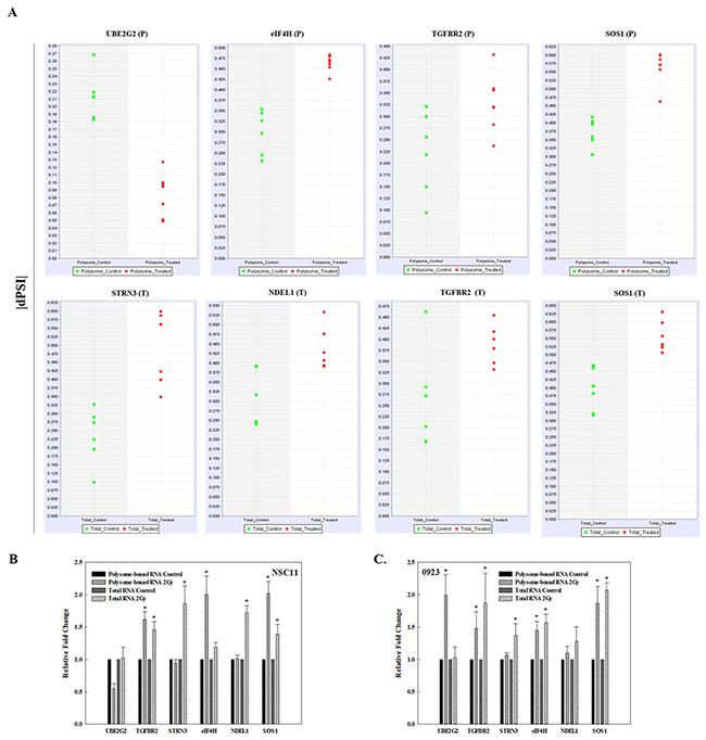 Validation of radiation-induced alternative transcripts in total and polysome-associated RNA.