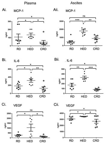 Effect of energy balance on cytokines.