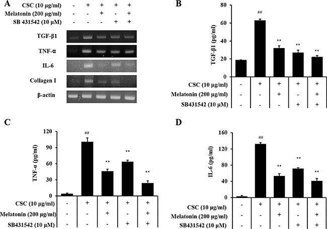 Melatonin suppresses the production of profibrotic mediators induced by CSC stimulation via down-regulation of TGF-&#x03B2;1.