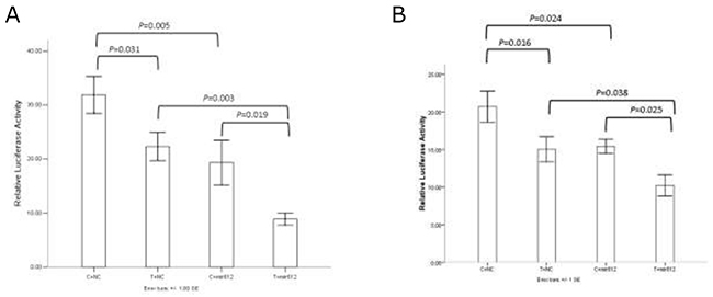 The results of dual luciferase reporter assay.