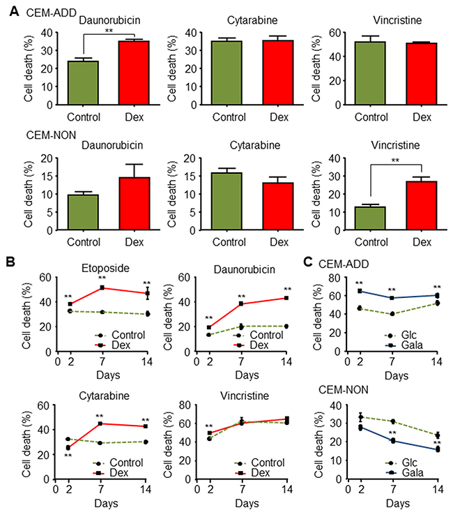 Exposure to glucocorticoids increases the cytotoxic effects of several anti-cancer drugs in acute lymphoblastic leukemia cells.