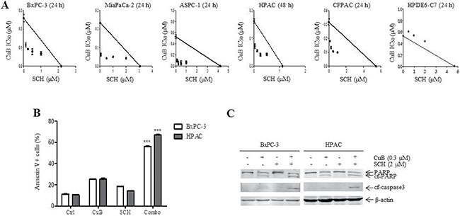 SCH772984 synergizes with CuB to induce growth inhibition and apoptosis of pancreatic cancer cells.