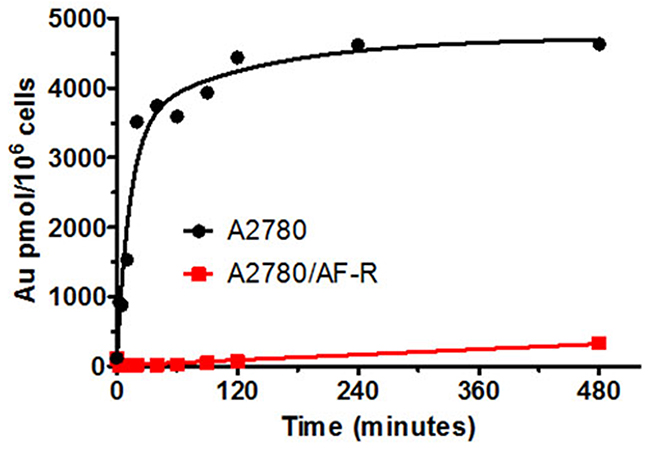 Cellular gold accumulation in A2780 and A2780/AF-R.