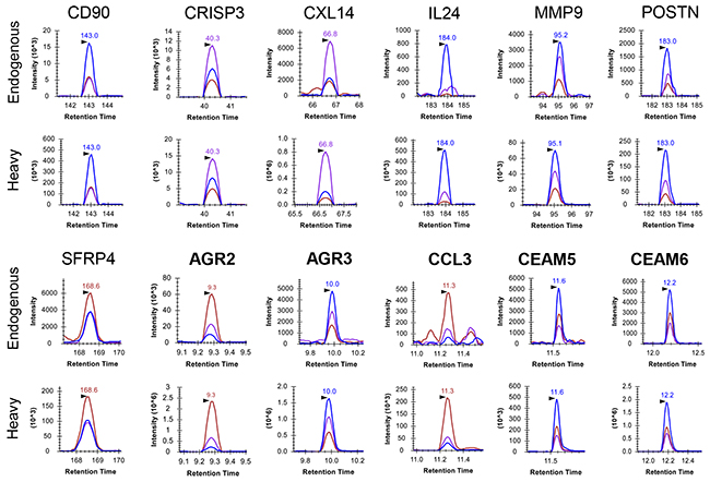 Extracted ion chromatograms (XICs) of detected proteins in a single urine sample, P07-031C.