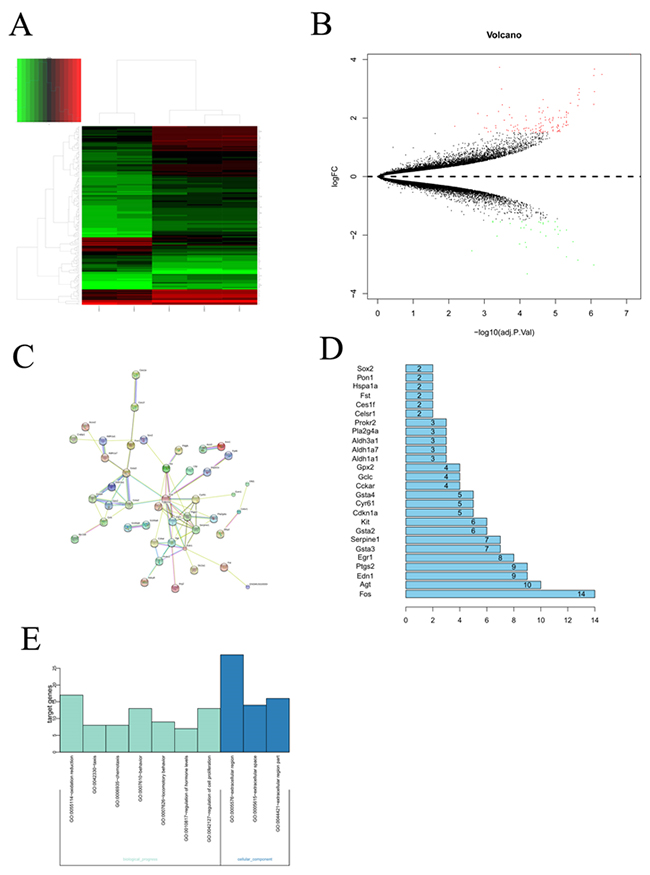 Bioinformatic analysis on the microarray data set GSE25286.