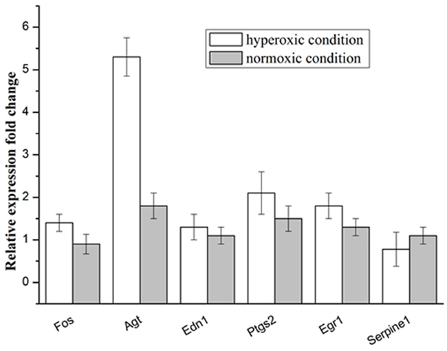 Relative expression levels of selected genes in the A549 cells under the hyperoxic and normoxic conditions.