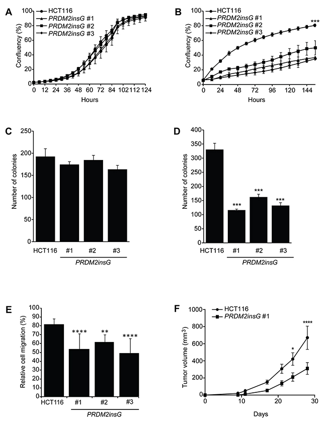 Loss of PRDM2 increases tumorigenicity in vitro and in vivo.