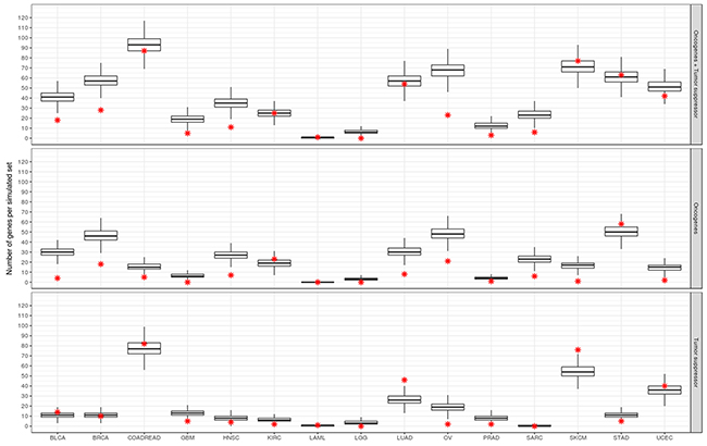 Enrichment analysis of CT genes for oncogenes and tumor suppressors.