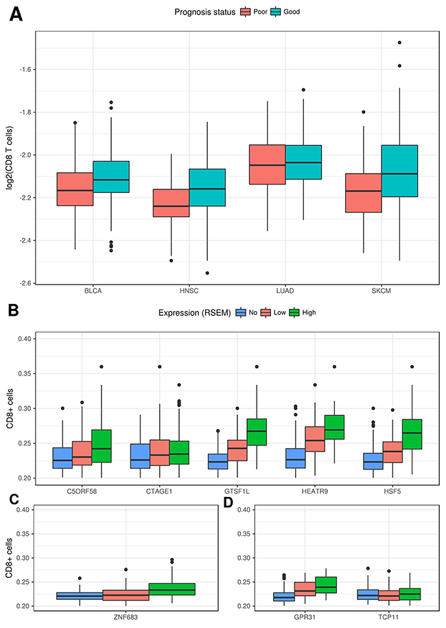 Correlation between expression of CT genes and the number of infiltrating CD8&#x002B; cells.