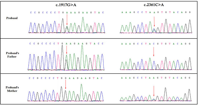 Partial DNA sequences in the