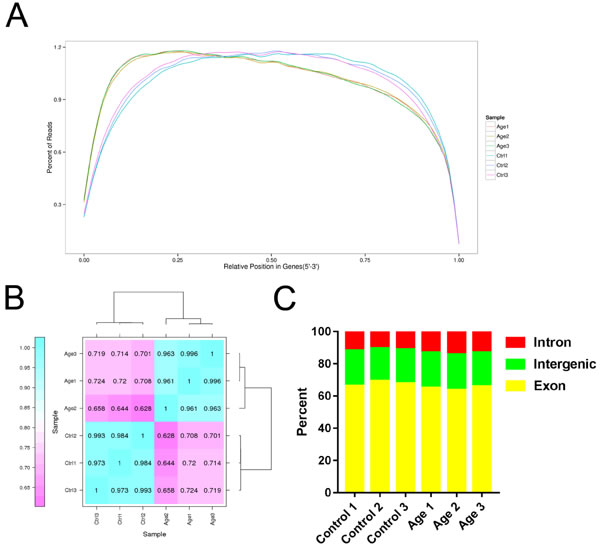 Overview of RNA sequencing data.