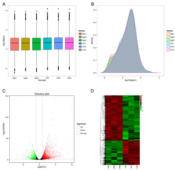 Overview of differentially expressed genes.