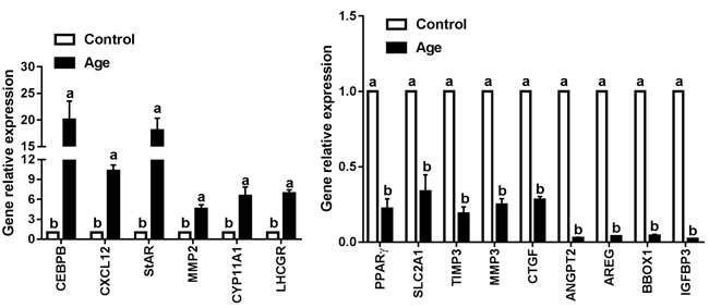 Validation the interested genes identified by RNA-seq using QRT-PCR.