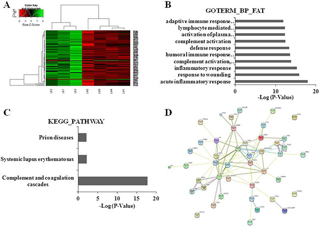 Clustering analyses of DEPs, functional and pathway annotation, and protein-protein interaction analysis in PLC patients with YDLKS compared to those of NS.