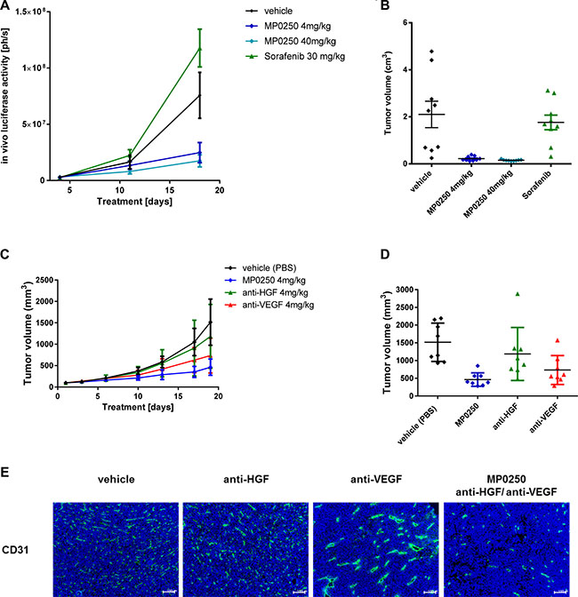 Tumor growth inhibition in syngeneic models and anti-angiogenic effect of MP0250.