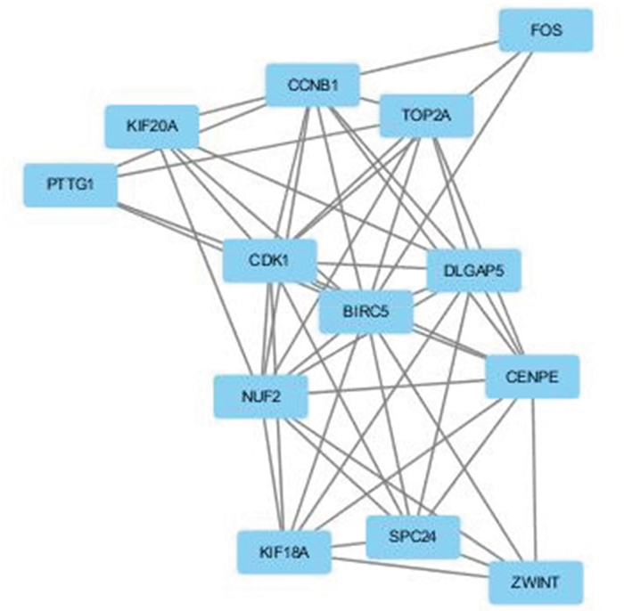 The protein&#x2013;protein interaction (PPI) network of DEGs using Molecular Complex Detection (MCODE).