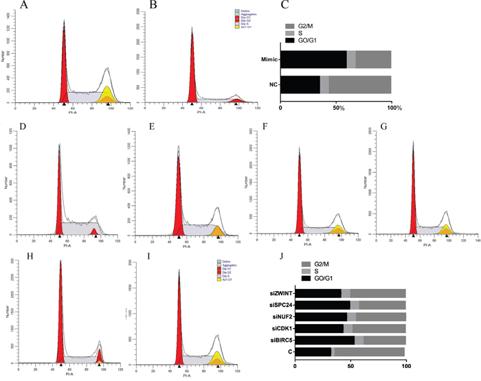 Cell cycle analysis detected by flow cytometry.