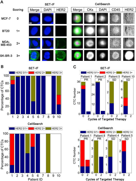 Detection of HER2 expression status on CTCs.