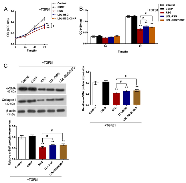 The effects of LDL-RSG/CSNP on TGF-&#x03B2;1-induced HTF proliferation and ECM synthesis.